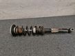 Rear shock absorber/damper