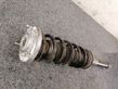 Rear shock absorber with coil spring