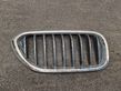 Front bumper upper radiator grill