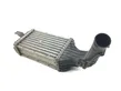 Intercooler radiator