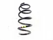 Front coil spring