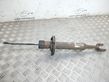 Front shock absorber/damper