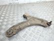 Front lower control arm/wishbone