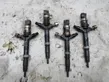 Fuel injectors set