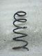 Rear coil spring