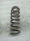 Rear coil spring