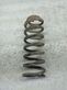 Rear coil spring