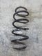 Front coil spring