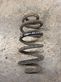 Rear coil spring