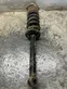 Rear shock absorber with coil spring