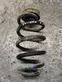 Rear coil spring