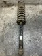 Rear shock absorber with coil spring