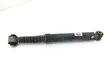 Rear shock absorber/damper