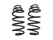 Rear coil spring