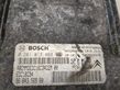 Sterownik / Moduł ECU   0281013869,9664356980,1039S20174,9653958980