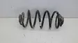 Rear coil spring