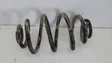 Rear coil spring