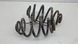 Rear coil spring