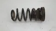 Rear coil spring