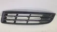 Front bumper lower grill