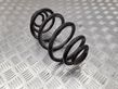 Rear coil spring