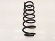 Rear coil spring