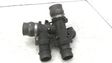 Throttle valve   9655971680