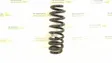 Rear coil spring