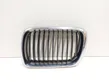 Front bumper upper radiator grill