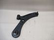 Front lower control arm/wishbone