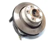 Rear wheel hub spindle/knuckle