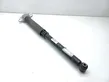 Rear shock absorber/damper