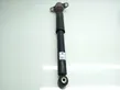 Rear shock absorber/damper