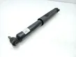 Rear shock absorber/damper