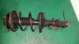 Front shock absorber with coil spring