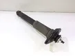 Rear shock absorber/damper