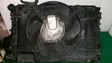 Electric radiator cooling fan