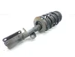 Front shock absorber with coil spring