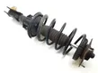 Front shock absorber with coil spring