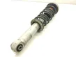 Rear shock absorber/damper