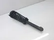 Front shock absorber with coil spring