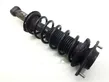 Rear shock absorber/damper