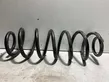 Rear coil spring