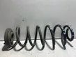 Rear coil spring