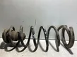 Rear coil spring