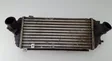 Radiatore intercooler