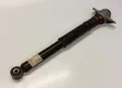 Rear shock absorber/damper