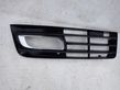 Front fog light trim/grill