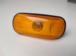 Front fender indicator light