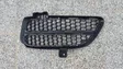 Front bumper lower grill